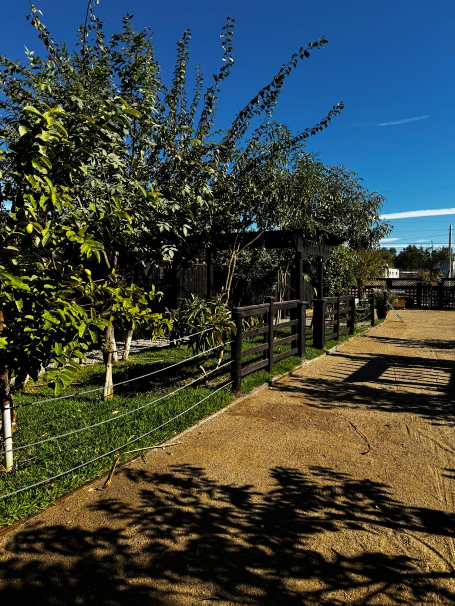 Estancita Elena Otel Valle de Guadalupe Dış mekan fotoğraf